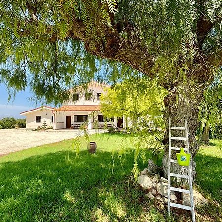 Villa Andrea San Lorenzo Noto Dış mekan fotoğraf